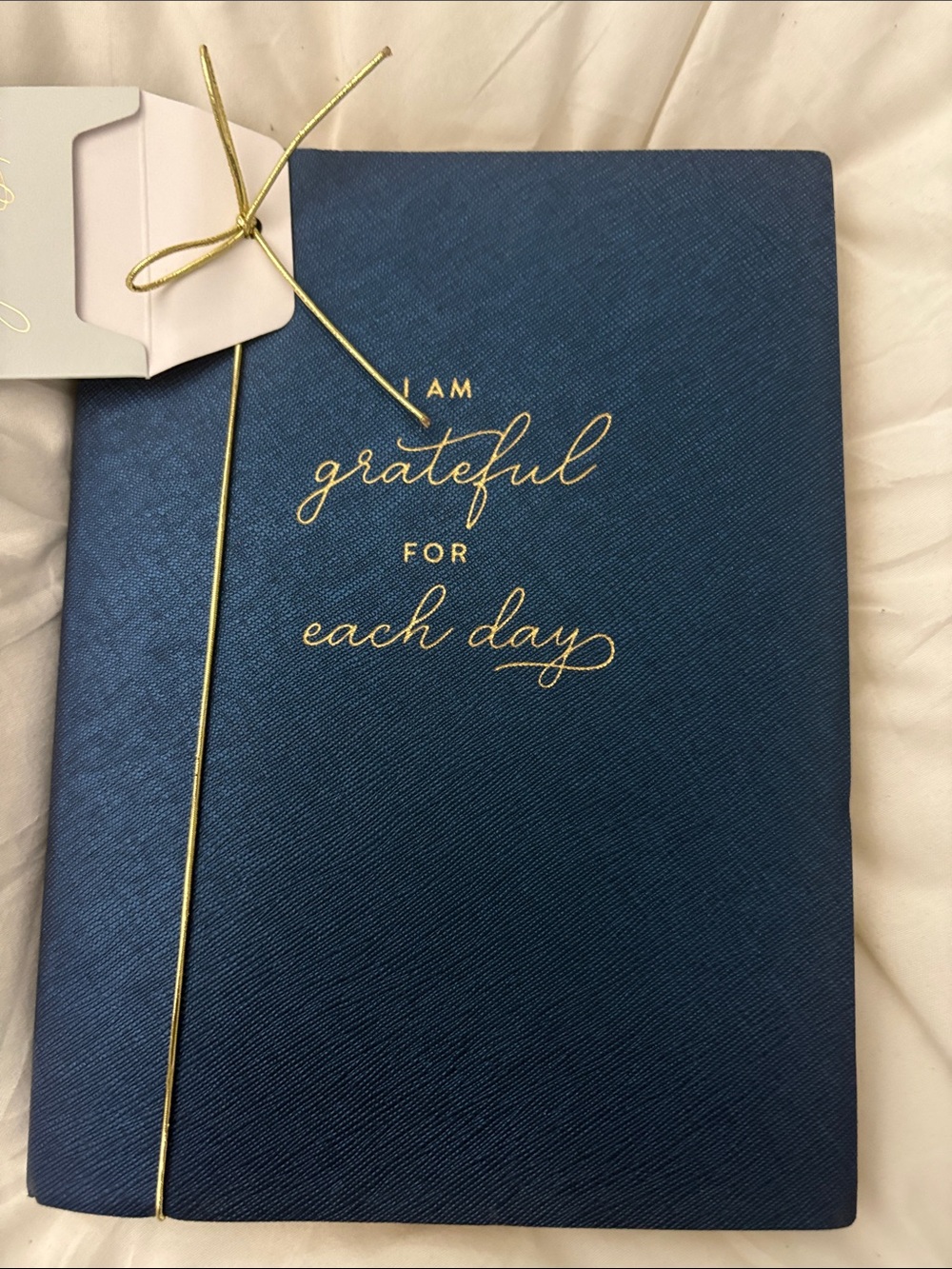 Daily Intentions and Reflections Journal